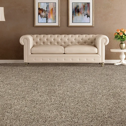 TCT Flooring, INC. providing stain-resistant pet proof carpet in Kingman, AZ