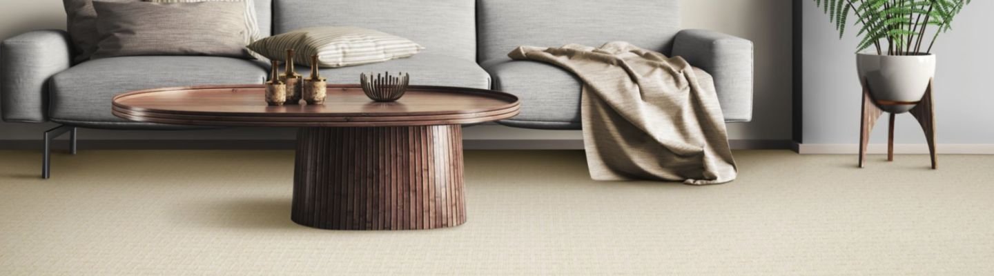 modern living room with nylon carpet from UltraStrand