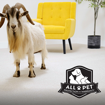 AllPet Protection Promotion with a goat on a white SmartStrand Carpet floor