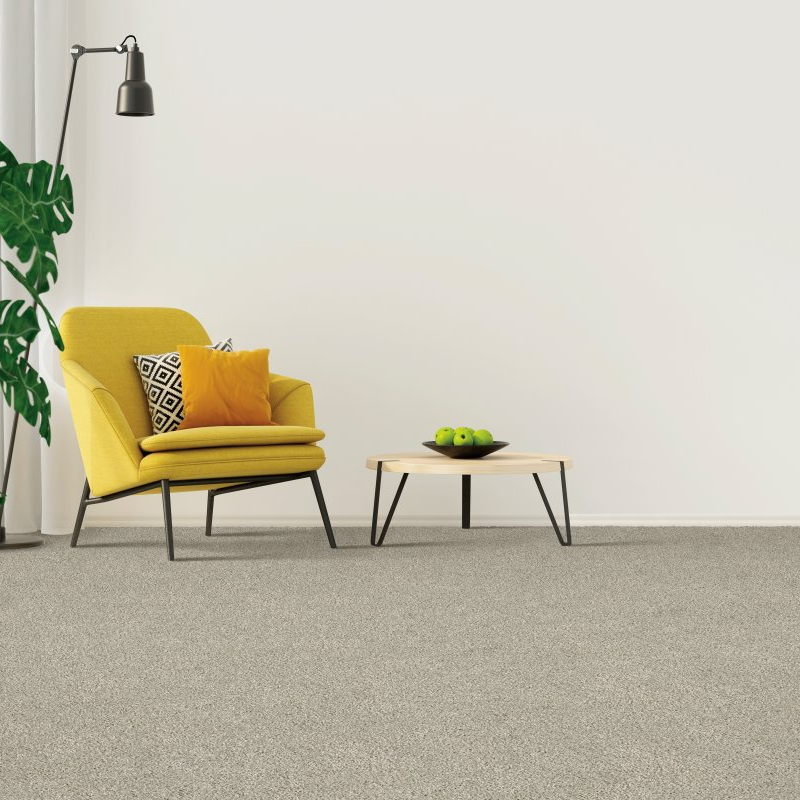 TCT Flooring, INC. providing stain-resistant pet proof carpet in Kingman, AZ - Coastal Fashion II-Destin Beach